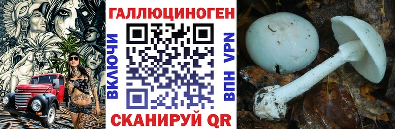 Псилоцибиновые грибы мухоморы  блэк спрут ссылка  Коломна 