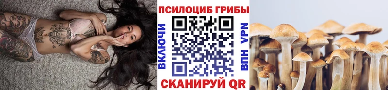 Псилоцибиновые грибы GOLDEN TEACHER Коломна
